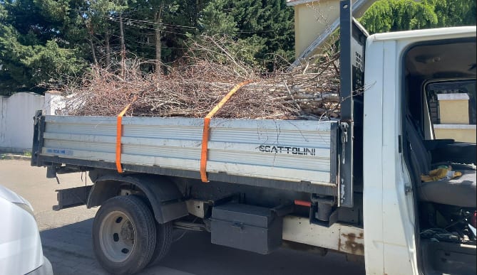 Case: deseuri verzi din curte